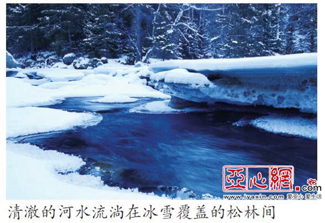 新疆阿勒泰“野雪”吸引国内大量游客